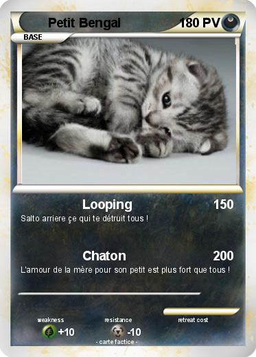 Pokemon Petit Bengal
