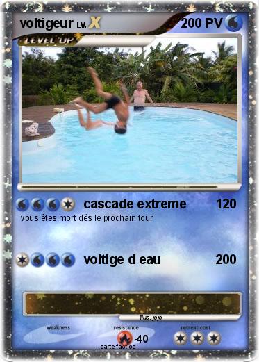 Pokemon voltigeur