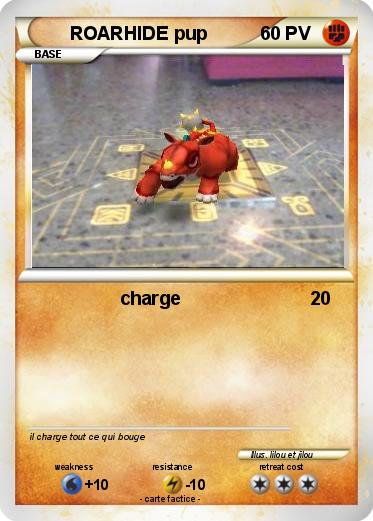 Pokemon ROARHIDE pup