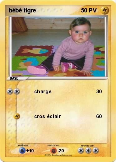 Pokemon bébé tigre 