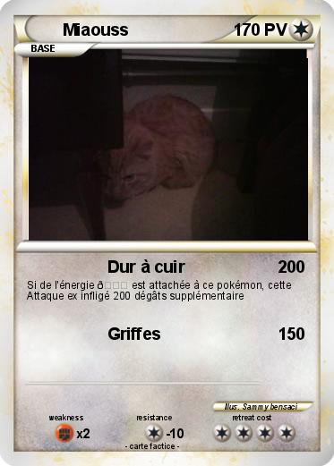 Pokemon Miaouss