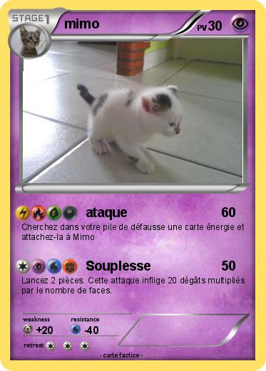 Pokemon mimo