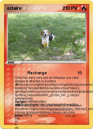 Pokemon eclaire                                2       