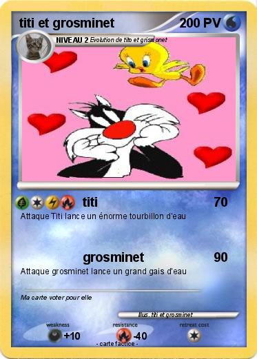 Pokemon titi et grosminet