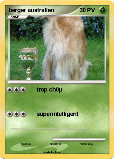 Pokemon berger australien