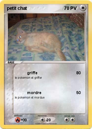 Pokemon petit chat
