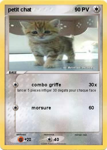 Pokemon petit chat