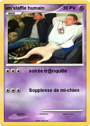 Pokemon am'staffie humain