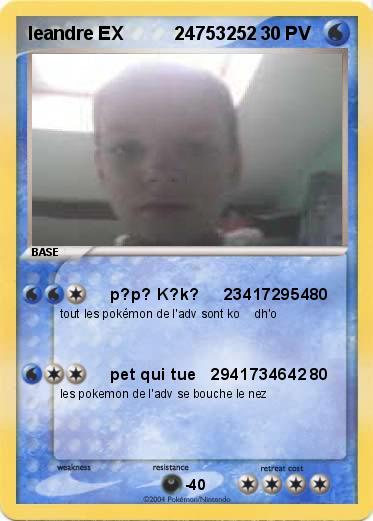 Pokemon leandre EX          24753252