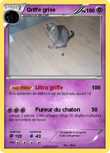 Pokemon Griffe grise