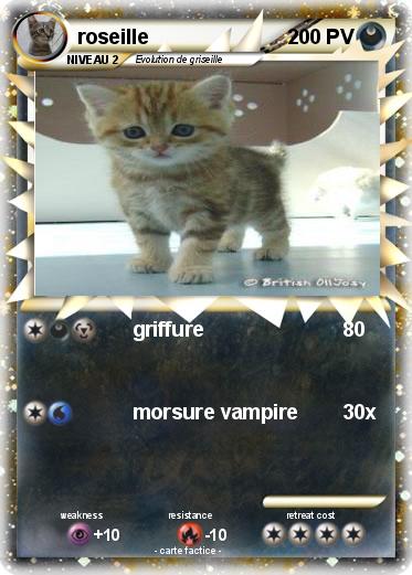Pokemon roseille
