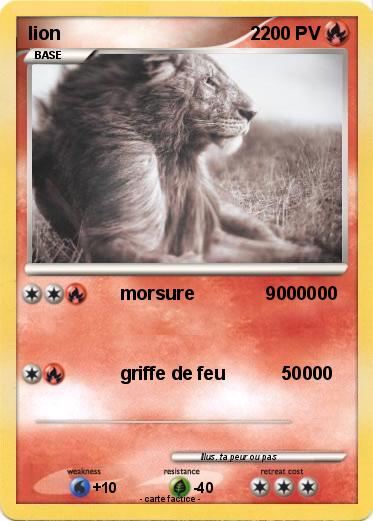Pokemon lion                                     2