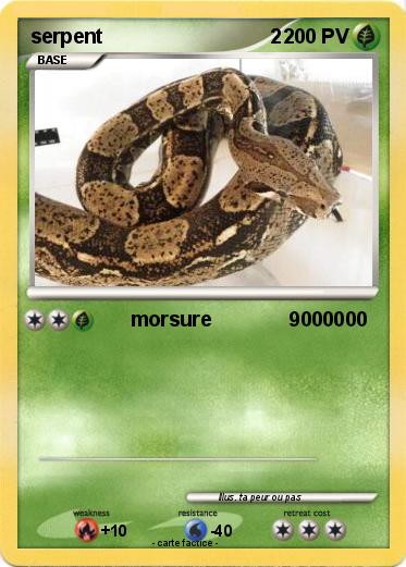 Pokemon serpent                              2