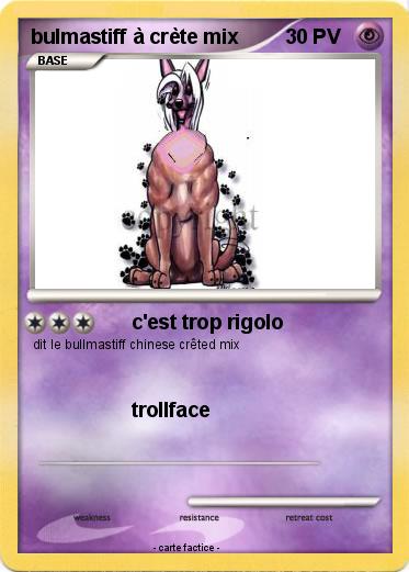 Pokemon bulmastiff à crète mix