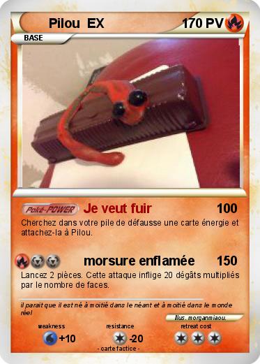 Pokemon Pilou  EX