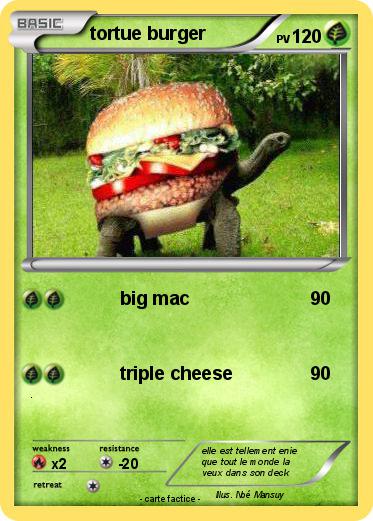 Pokemon tortue burger