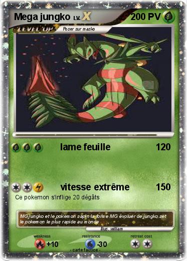 Pokemon Mega jungko