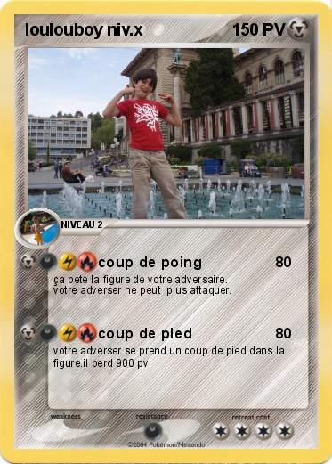 Pokemon loulouboy niv.x