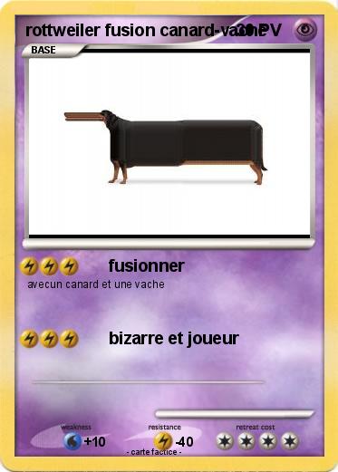Pokemon rottweiler fusion canard-vache