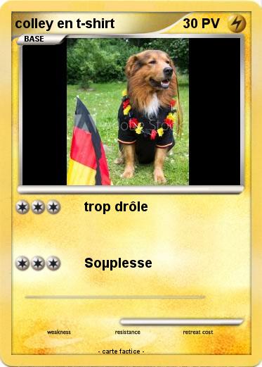 Pokemon colley en t-shirt