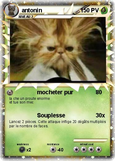 Pokemon antonin
