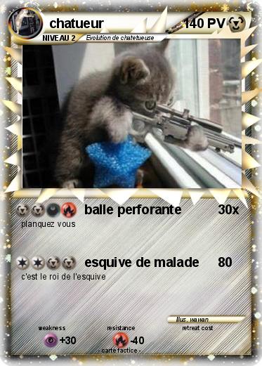 Pokemon chatueur