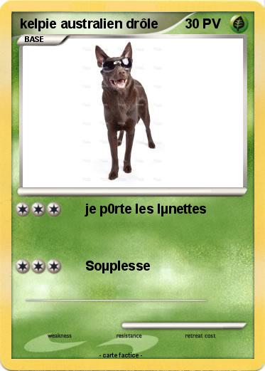 Pokemon kelpie australien drôle