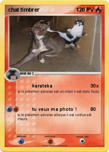 Pokemon chat timbrer