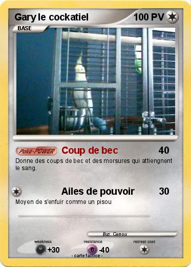 Pokemon Gary le cockatiel