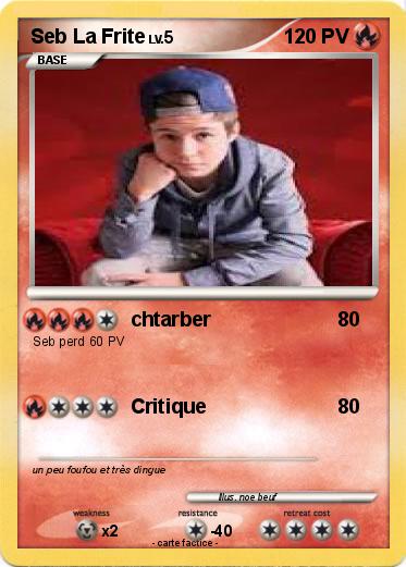 Pokemon Seb La Frite