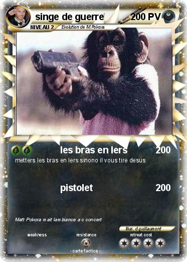 Pokemon singe de guerre