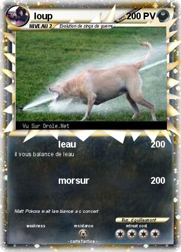 Pokemon loup
