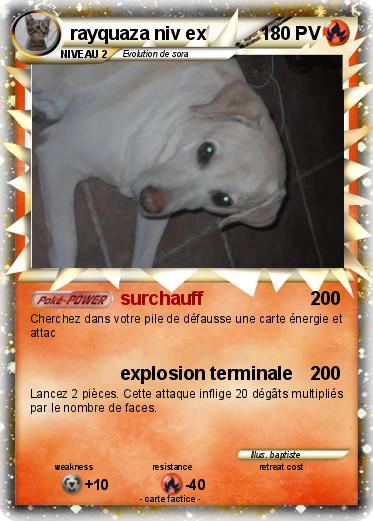 Pokemon rayquaza niv ex