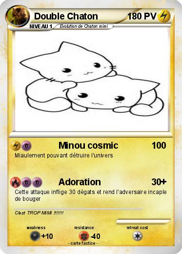 Pokemon Double Chaton