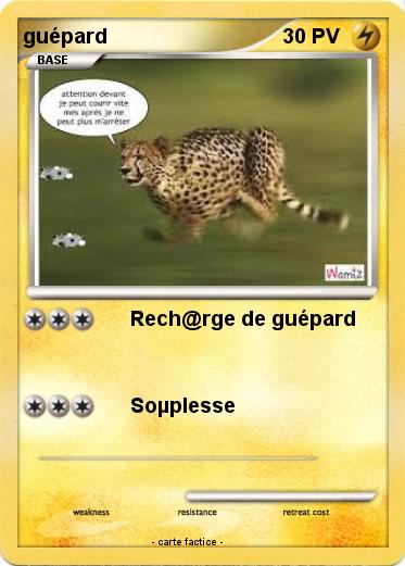 Pokemon guépard