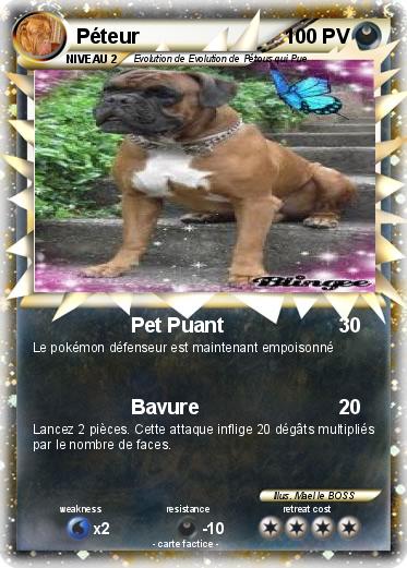 Pokemon Péteur