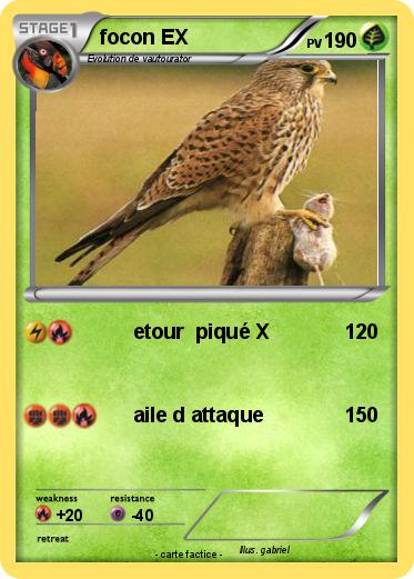 Pokemon focon EX