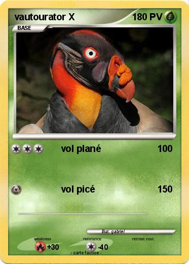 Pokemon vautourator X