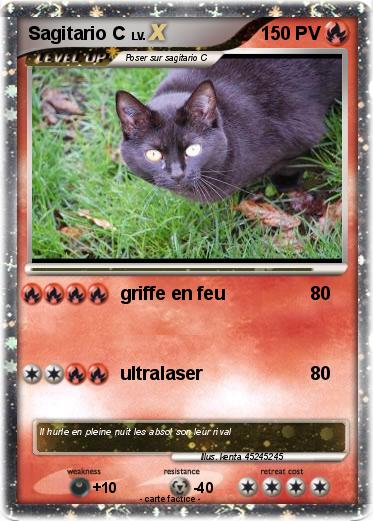 Pokemon Sagitario C