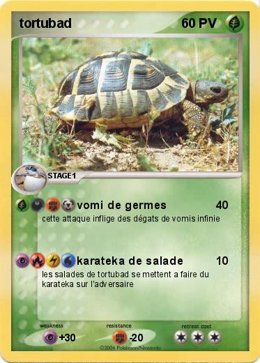 Pokemon tortubad