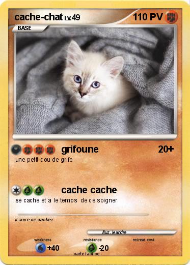 Pokemon cache-chat