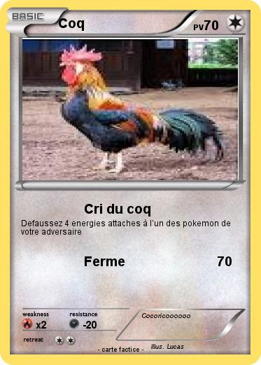 Pokemon Coq