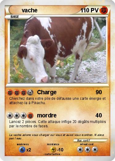 Pokemon vache