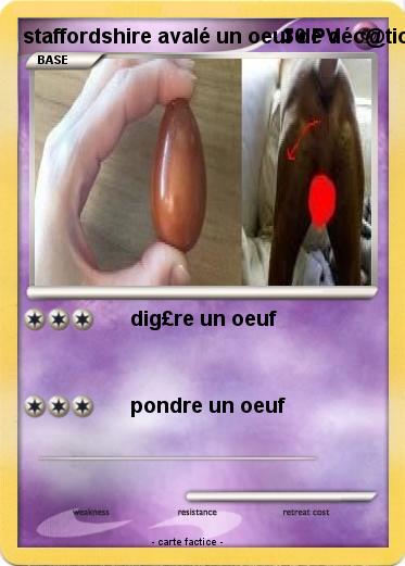 Pokemon staffordshire avalé un oeuf de déc@tion