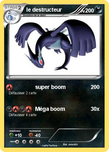 Pokemon le destructeur