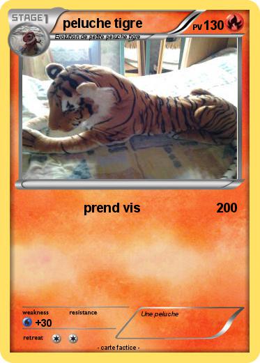 Pokemon peluche tigre