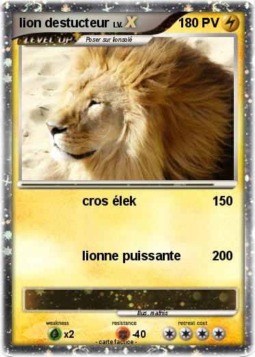 Pokemon lion destucteur