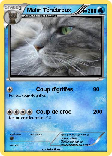 Pokemon Matin Ténébreux
