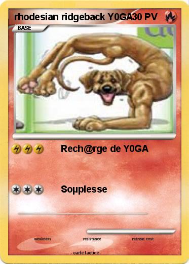 Pokemon rhodesian ridgeback Y0GA