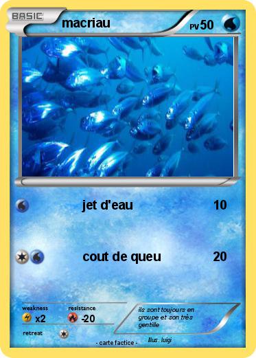 Pokemon macriau